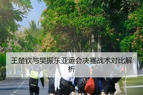 王楚钦与樊振东亚运会决赛战术对比解析